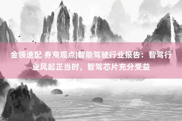 金领速配 券商观点|智能驾驶行业报告：智驾行业风起正当时，智驾芯片充分受益
