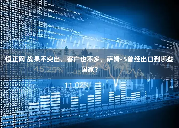 恒正网 战果不突出，客户也不多，萨姆-5曾经出口到哪些国家？